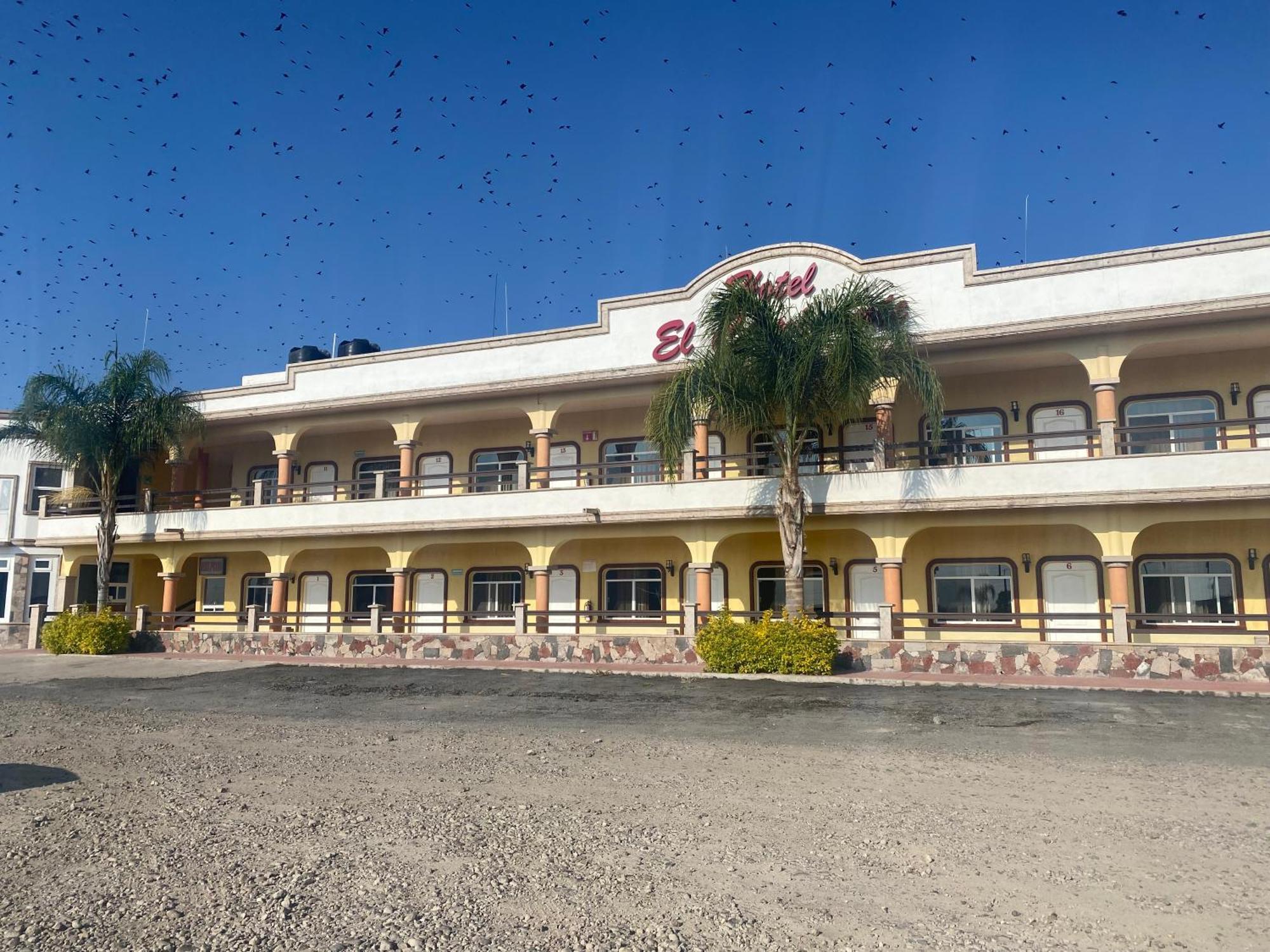 Hotel El Caminante 圣胡安－德洛斯拉戈斯 外观 照片